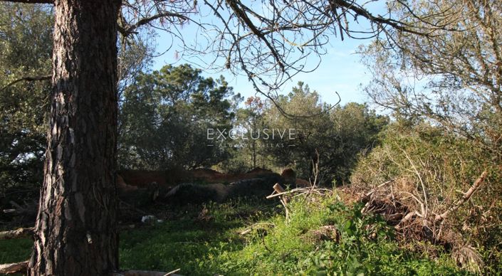 Image No.17-Plot for sale