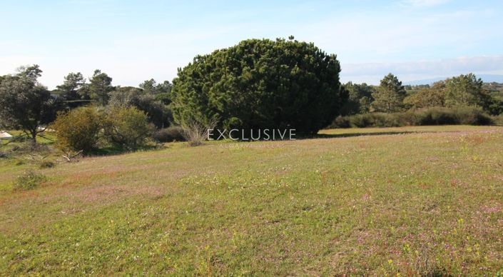 Image No.19-Plot for sale