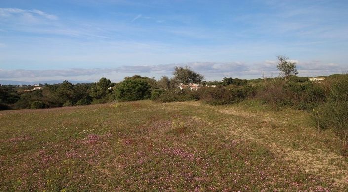 Image No.2-Plot for sale