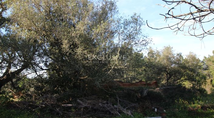 Image No.29-Plot for sale