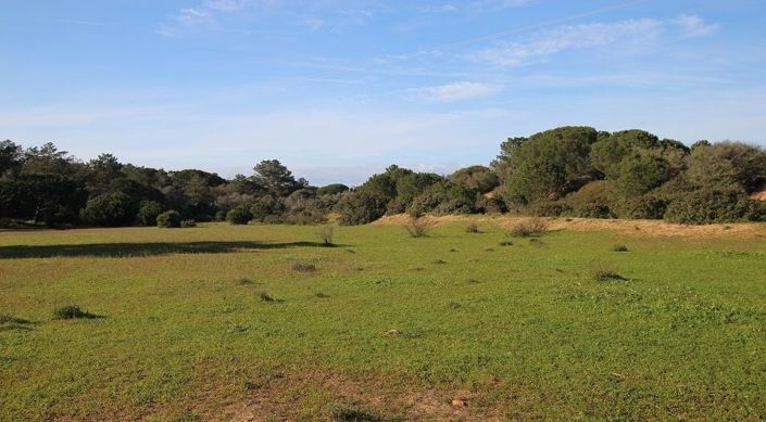 Image No.6-Plot for sale