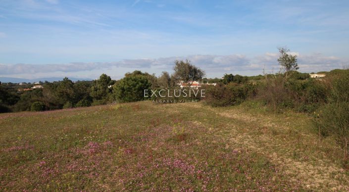 Image No.9-Plot for sale