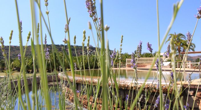 Image No.29-3 Bed Villa for sale