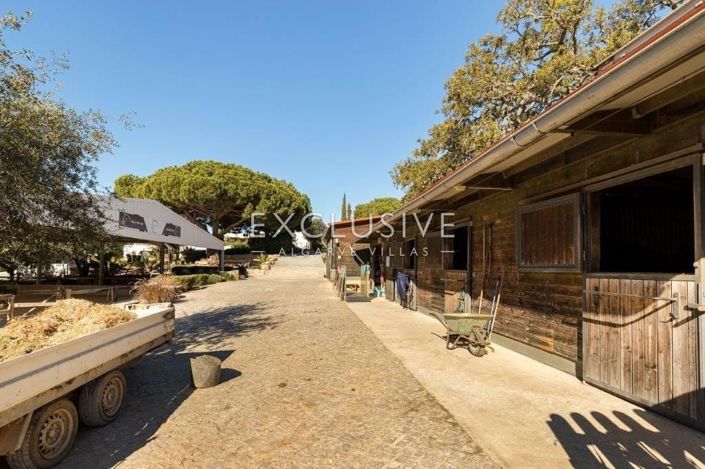 Image No.34-3 Bed Villa for sale