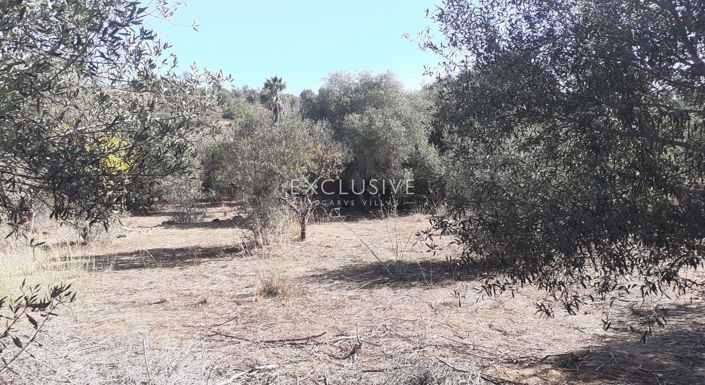 Image No.10-Plot for sale