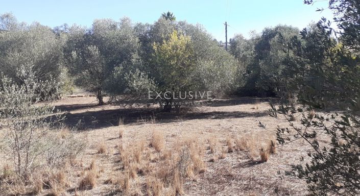 Image No.12-Plot for sale