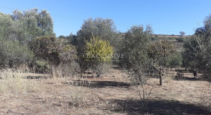 Image No.3-Plot for sale