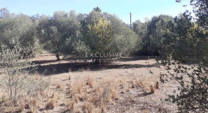 Image No.4-Plot for sale