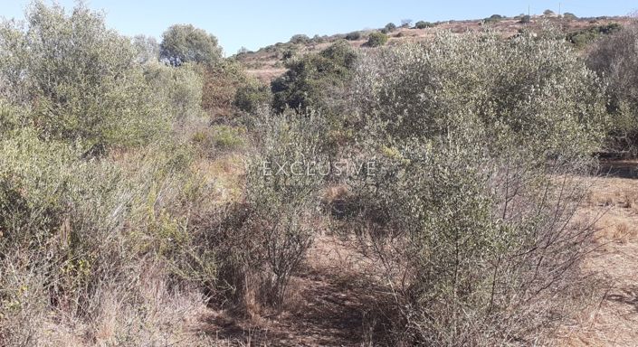 Image No.5-Plot for sale