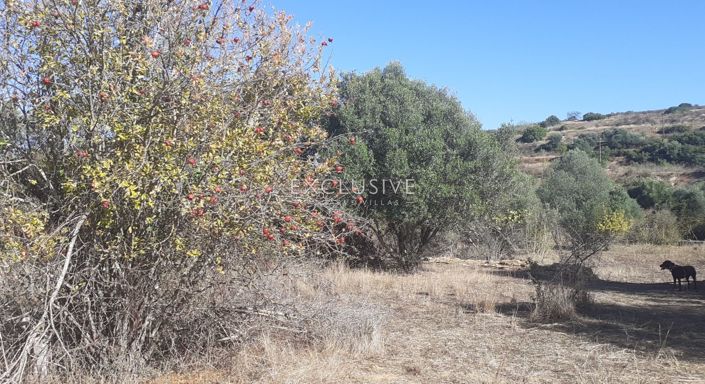 Image No.6-Plot for sale