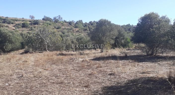 Image No.9-Plot for sale