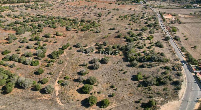 Image No.15-11 Bed Plot for sale