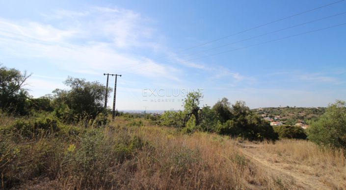 Image No.25-Plot for sale