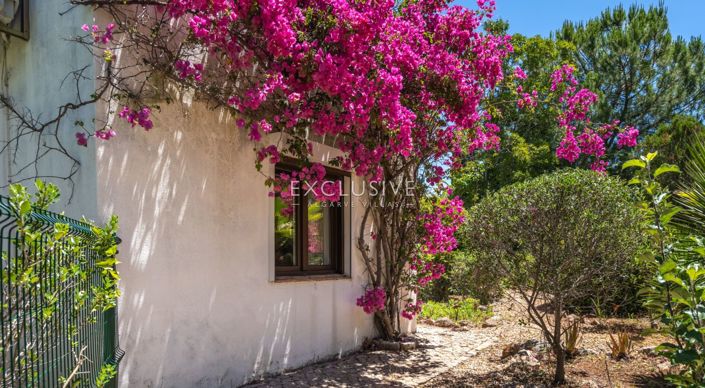 Image No.26-3 Bed Villa for sale