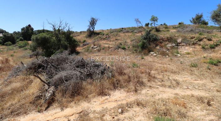 Image No.17-Plot for sale