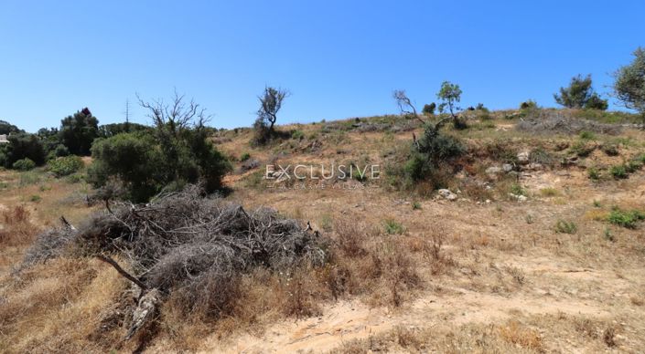 Image No.25-Plot for sale