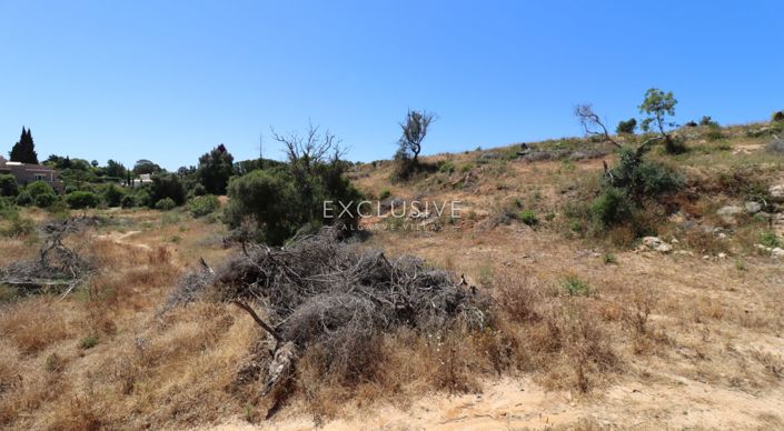 Image No.26-Plot for sale