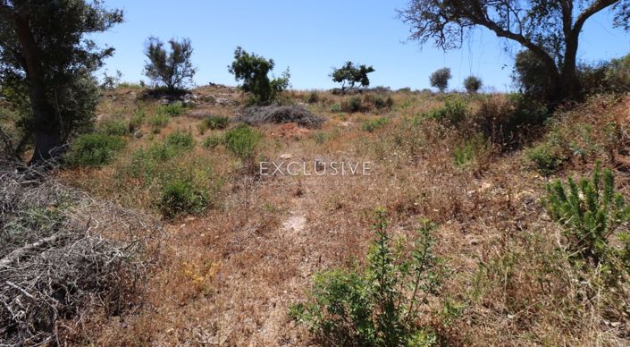 Image No.16-Plot for sale