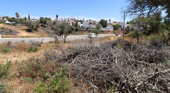 Image No.21-Plot for sale