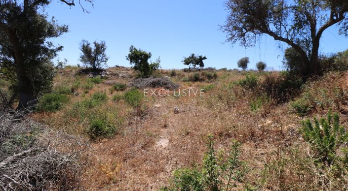 Image No.25-Plot for sale