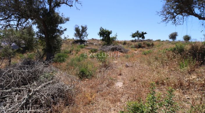 Image No.26-Plot for sale