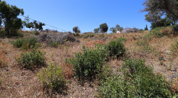 Image No.19-Plot for sale