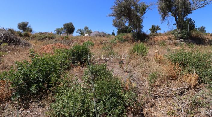 Image No.23-Plot for sale