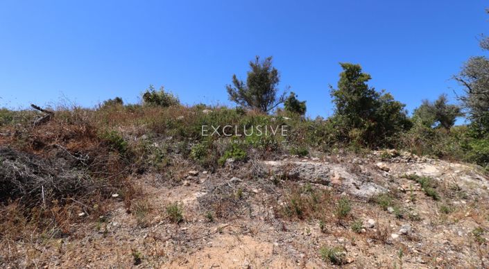 Image No.28-Plot for sale