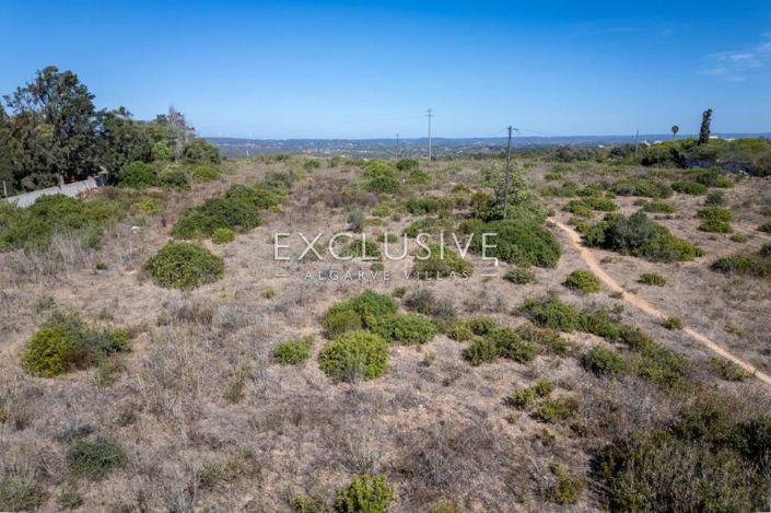 Image No.30-Plot for sale