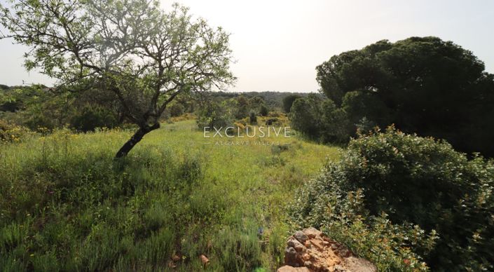 Image No.12-Plot for sale