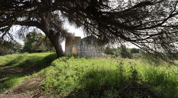 Image No.35-Plot for sale