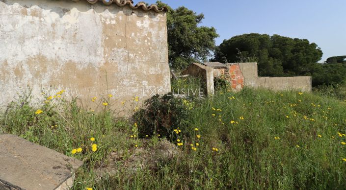 Image No.21-Plot for sale