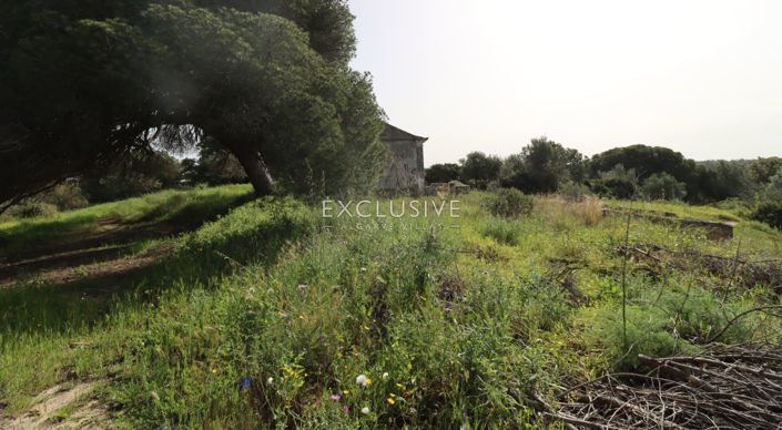 Image No.30-Plot for sale