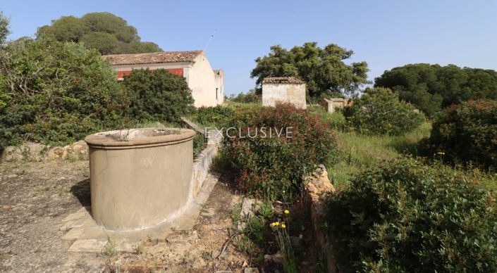 Image No.32-Plot for sale