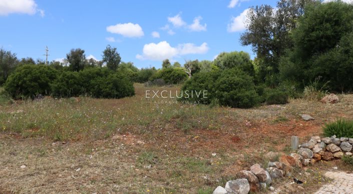 Image No.14-Plot for sale