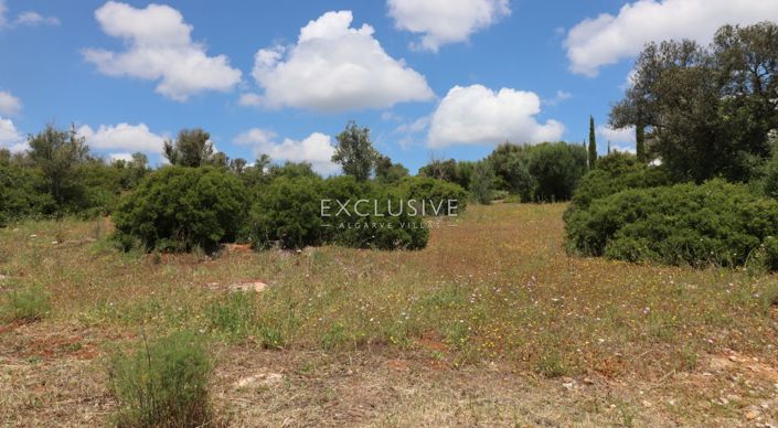 Image No.18-Plot for sale