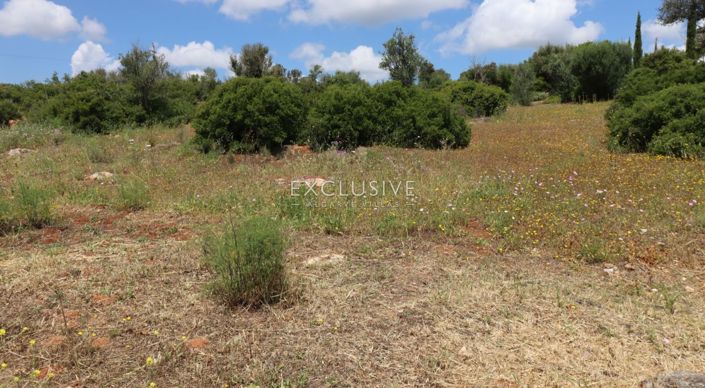 Image No.2-Plot for sale