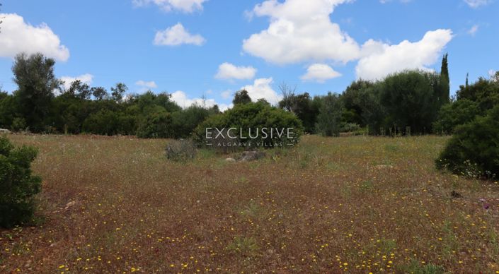 Image No.20-Plot for sale