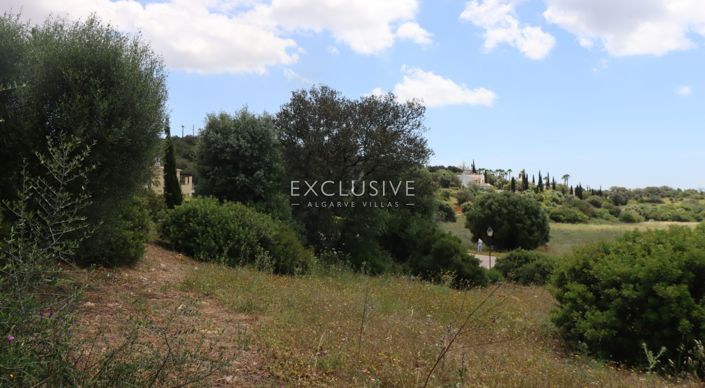 Image No.25-Plot for sale