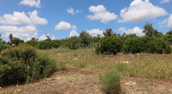 Image No.3-Plot for sale