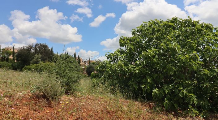 Image No.5-Plot for sale