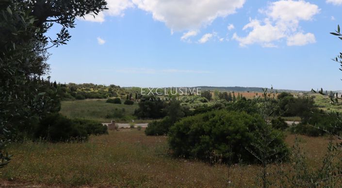 Image No.9-Plot for sale