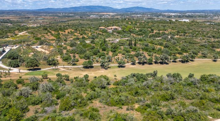 Image No.10-Plot for sale