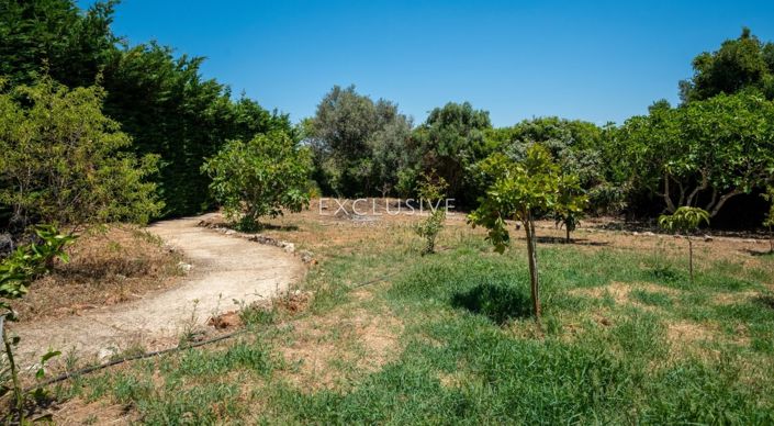 Image No.33-6 Bed Villa for sale