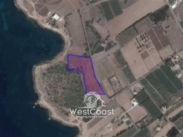 1 - Paphos, Plot