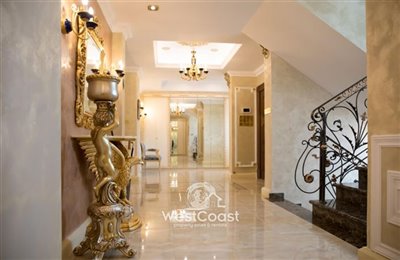 135393-detached-villa-for-sale-in-acheleiaful