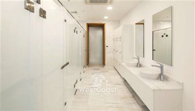 136114-penthouse-for-sale-in-kato-paphosfull