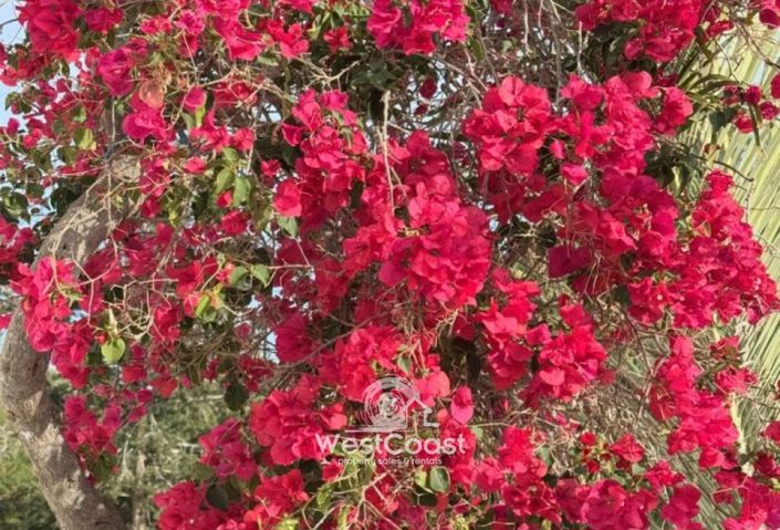 Image No.10-3 Bed Villa for sale