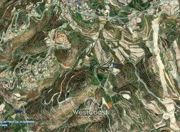 185458-agricultural-land-for-sale-in-tsadaful