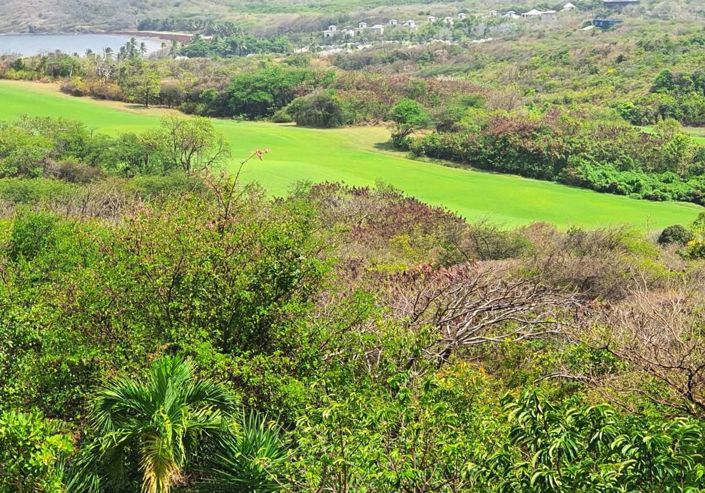 Image No.12-3 Bed Villa for sale